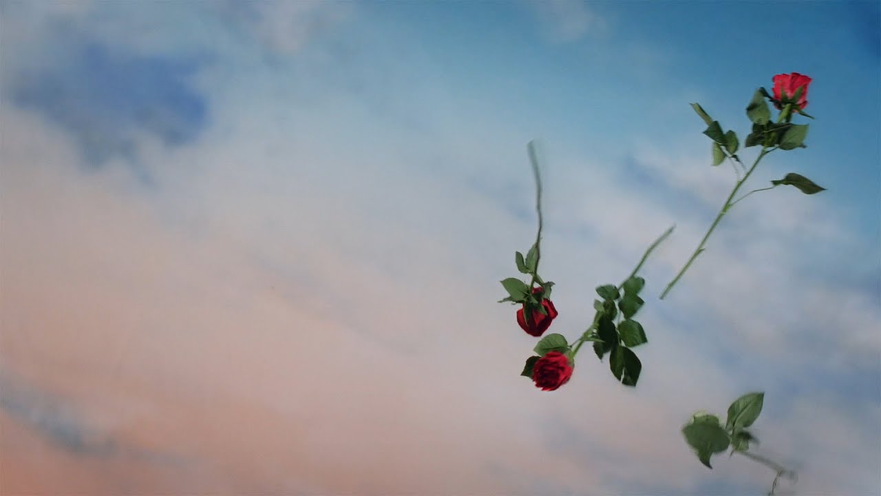 Maddie Ashman - Seraphim (Official Visualiser)