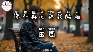 田园 - 你不再心疼我的泪 | Kamu tidak lagi merasa kasihan atas air mataku | Pop Mandarin 2025 @TuneBoxId