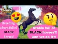 A stable full of BLACK HORSES?! Trying to breed all black horses! Part 1 Rival Stars Horse Racing
