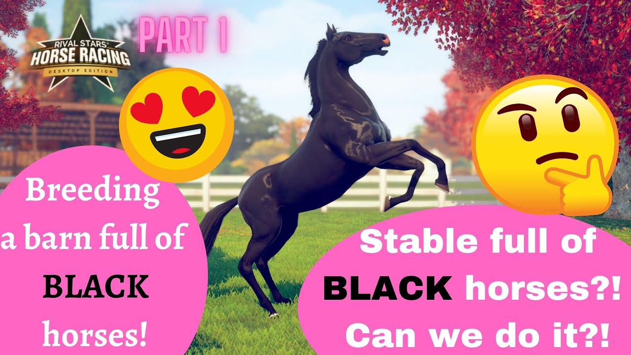 A stable full of BLACK HORSES?! Trying to breed all black horses! Part