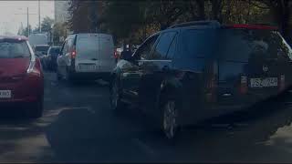 Snova Bychok V Okoshko