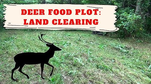 Deer Food Plot - Clearing the Land with Swisher Predator (1 of 3)