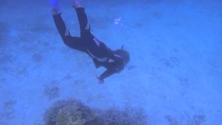 素潜りに挑戦！水深100ｍまで後・・・