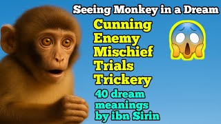 Seeing Monkey in a Dream Cunning Enemy Mischief Trials Trickery 40 dream meanings by ibn Sirin 