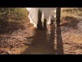 Hauke wedding film  the cradle  annamarie  shandon