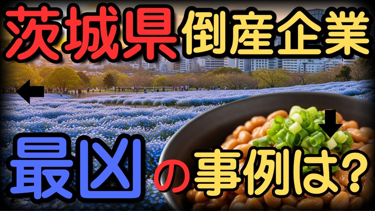茨城県の倒産厳選１３選！誰も教えてくれなかったその悲哀な結末とは？【ゆっくり解説】