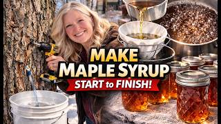 How to Make Maple Syrup at Home 🍁 Tree Tapping to Finished Syrup (Step-by-Step Guide)