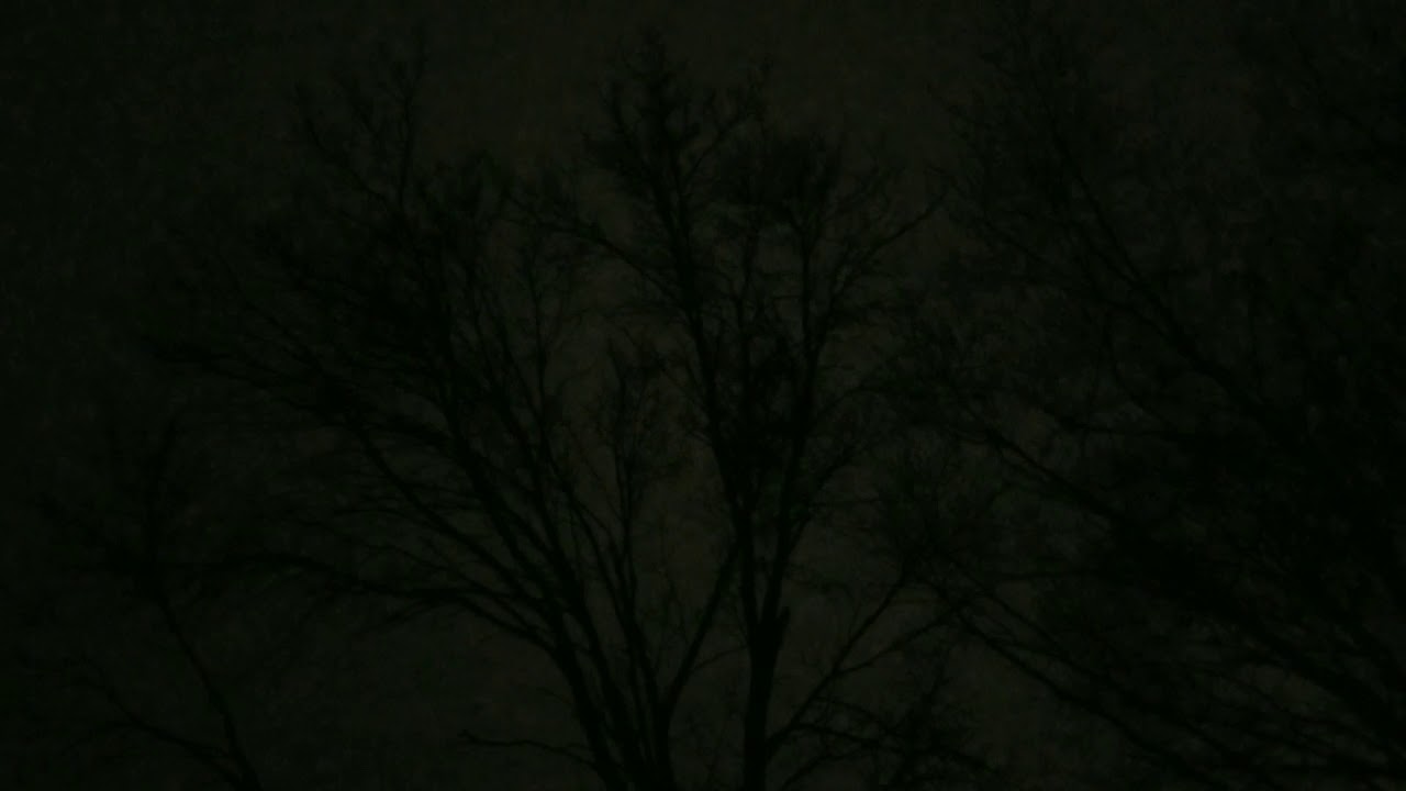 Rain sounds dark rainy night birds chirping black sky rain more rain steady rain all kinds of rain.