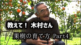 【自然栽培】果樹の育て方Part4～葉っぱが教えてくれる「剪定（せんてい）」の方法【木村秋則さん】