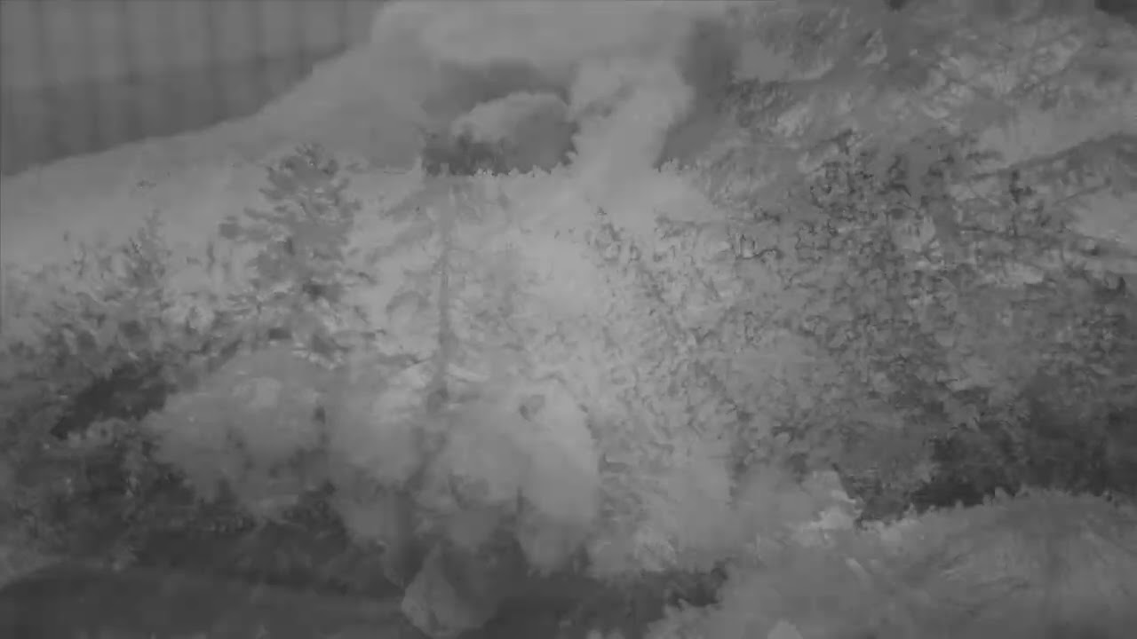 Ins Finstere - (noch ohne Titel und Gesang)