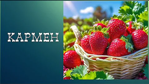 Земляника КАРМЕН. Сорт-лакомка, непревзойдённый по вкусу.