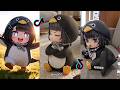 GUGUGAGA & CHIBIS Ultimate Compilation 2026 | Funniest Moments & Cute Chibi Clips #8