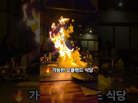 #만3세 보는 즐거움이 있는 일본식 철판요리 #shorts #오클랜드 #일본식 #맛집 #daikoku #육아 #뉴질랜드 #육아브이로그