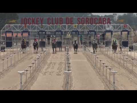 Vídeo: Páreo Splash Refuge