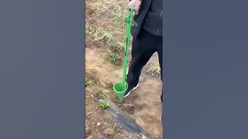 The process of planting vegetable seedlings - a good tool can improve work efficiency