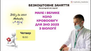 Мале і велике коло кровообігу для ЗНО 2023 з біології