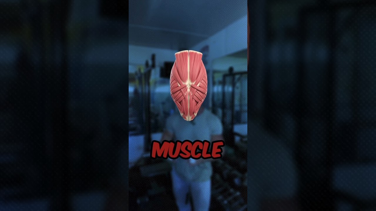 Protecting Muscle Mass When Using Ozempic for Weight Loss #health #diet #ozempic #glp1 #exercise