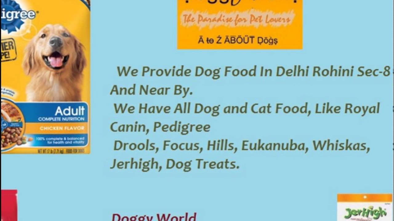Dog Food Shop in Rithala YouTube