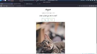 TryHackMe: Dogcat walkthrough