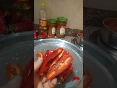 يوميات بلبله 