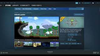 Not Working Tmodloader