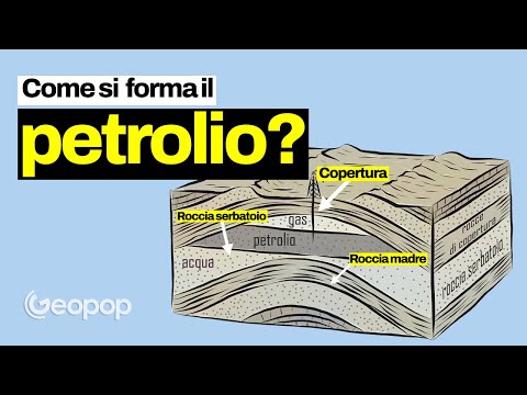 Video: Durante la fotosintesi il carbonio viene spostato da quale giacimento a quale giacimento?