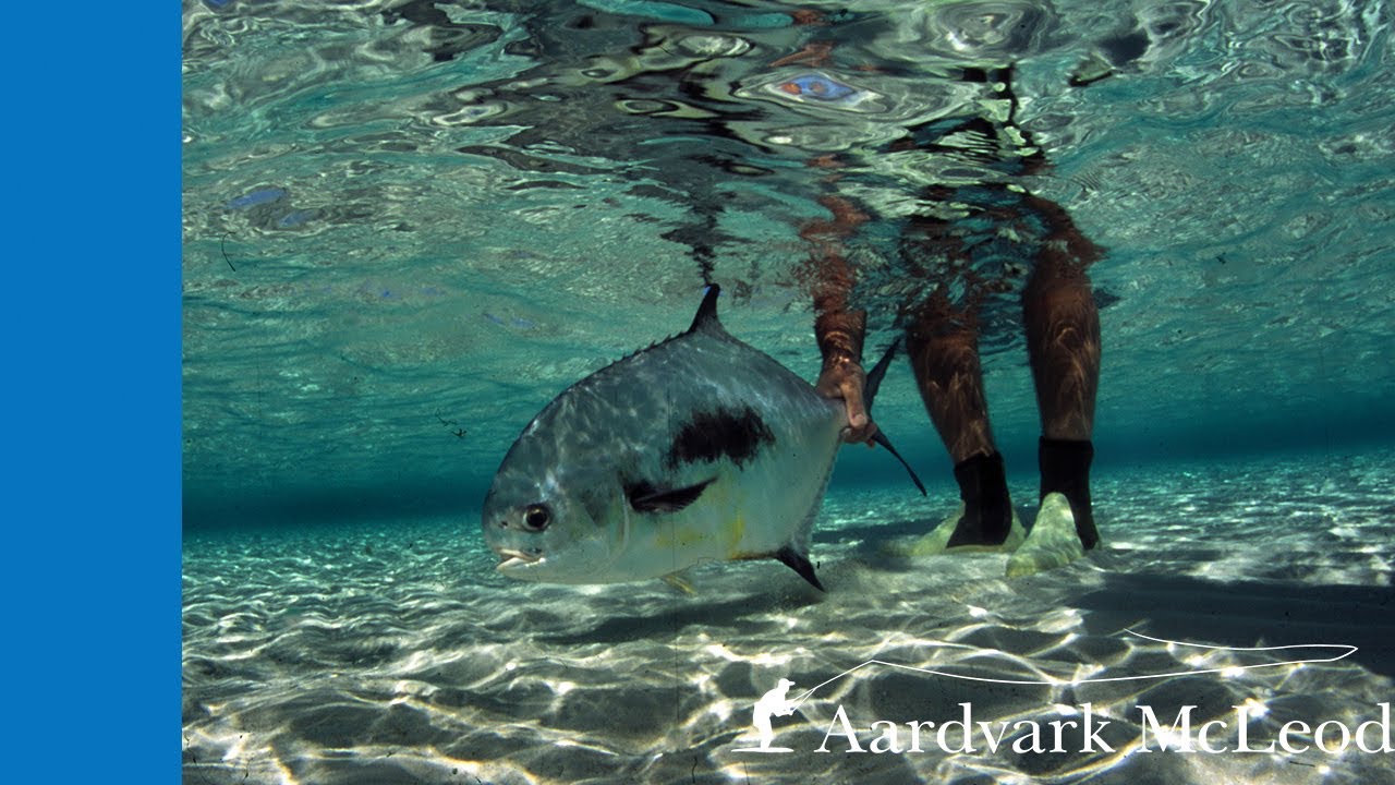 Top Ten Permit Flies