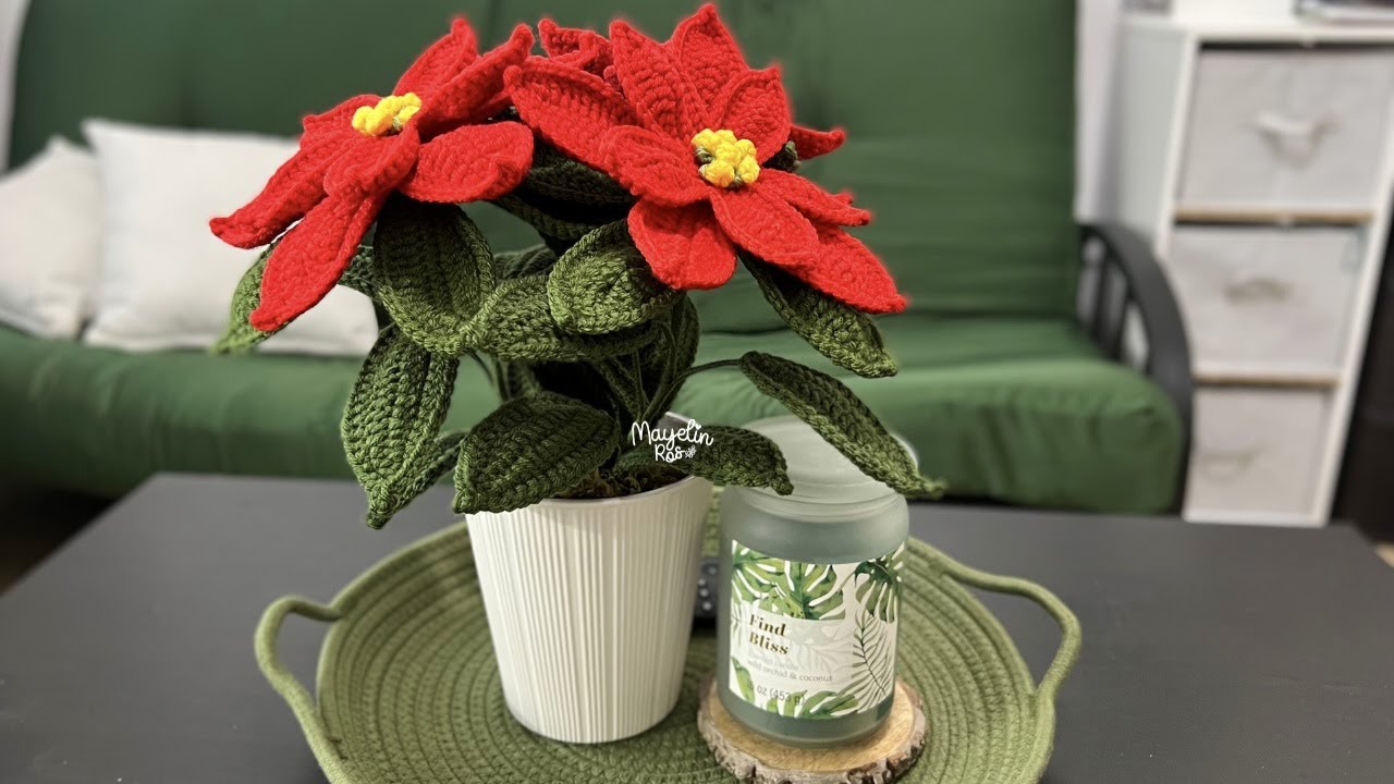 Tutorial Flor Nochebuena A Crochet | Poinsettia💚Mayelin Ros