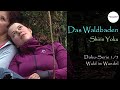 Doku Reihe 1/5 – Wald im Wandel "Waldbaden" – Achtsamkeit und Entspannung in der Natur