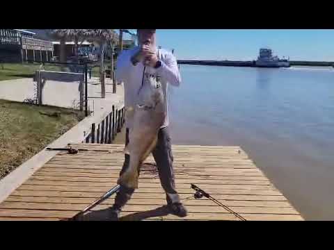 Black Drum fishing video thumbnail