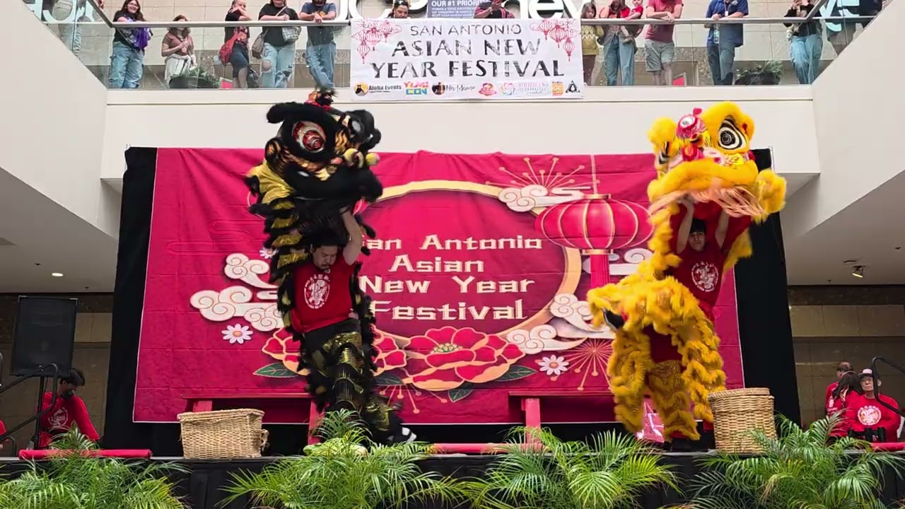 San antonio Asian New Year Festival SALDA (rolling oaks mall) 02-21-2026