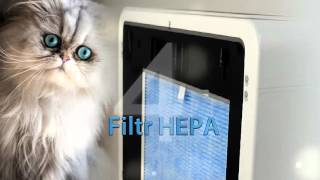 Blaupunkt Lavender 2041 - Oczyszczacz Powietrza - Www.klimasklep.pl - Prezentacja Produktu