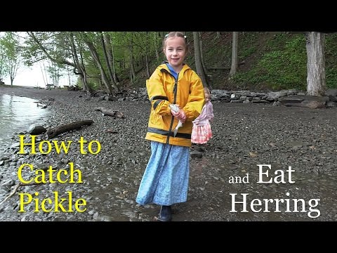 วีดีโอ: วิธีทำปลาเฮอริ่งในน้ำส้มสายชู