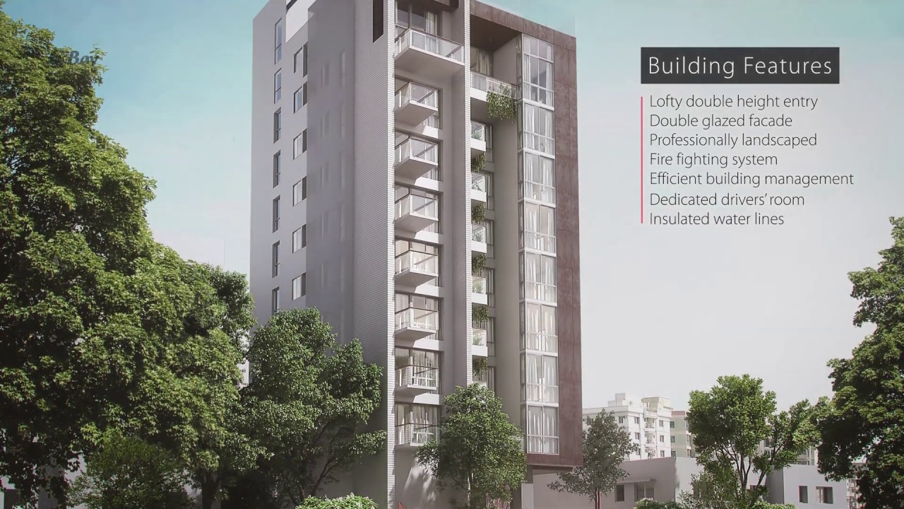 Bay's Bellevue, Project Overview