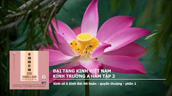 K.Trường A Hàm tập 2 – K.số 6 K.Bát Nê hoàn – quyển thượng – phần 