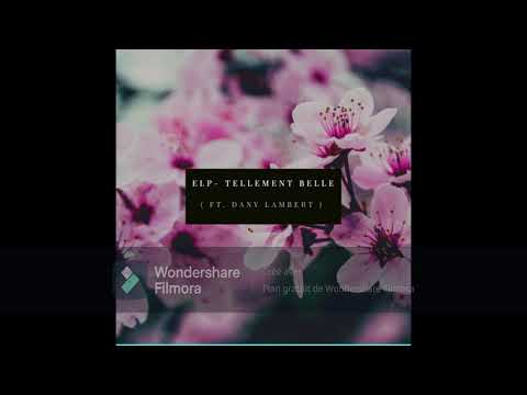 LAMBERT - TELLEMENT BELLE X ELP