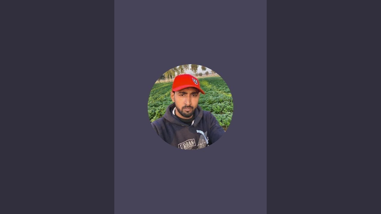 मॉर्निंग लाइव💐♥️💕👍👍👍🙏