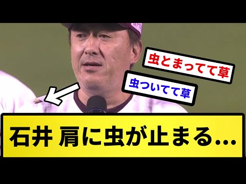 【蛾ーん】石井 肩に虫が止まる...【反応集】【プロ野球反応集】【2chスレ】【5chスレ】