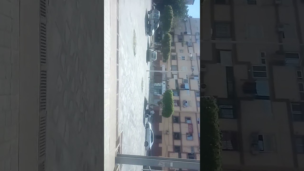 tramway Alger Cité Rabia to Bab Ezzouar Pont