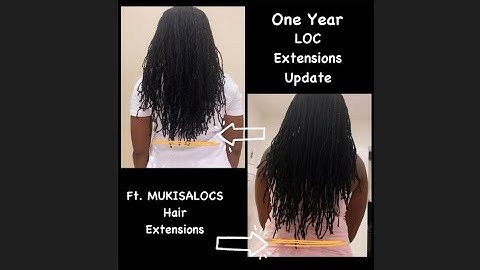 ONE YEAR LOC EXTENSION UPDATE ft. MUKISALOCS