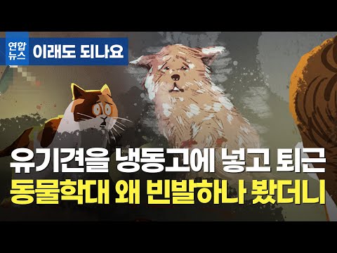 유기견을 냉동고에 넣고 퇴근하다니…&amp;quot;법적으론 물건과 동일&amp;quot; / 연합뉴스 (Yonhapnews)