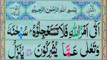 Surah An Nahl Full |سورة النحل| surah nahl full HD arabic text || Quran Teacher USA