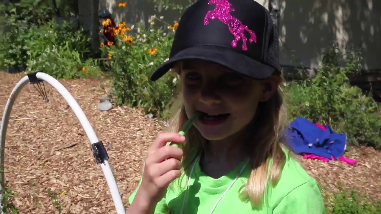 Gallatin Valley Farm to School Programs