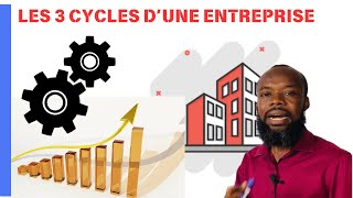 THE 3 CYCLES OF A BUSINESS: Financing, Investment, Operations