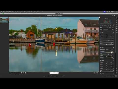 Breakdown of the Essential Adjustments (basic panel) of Camera RAW