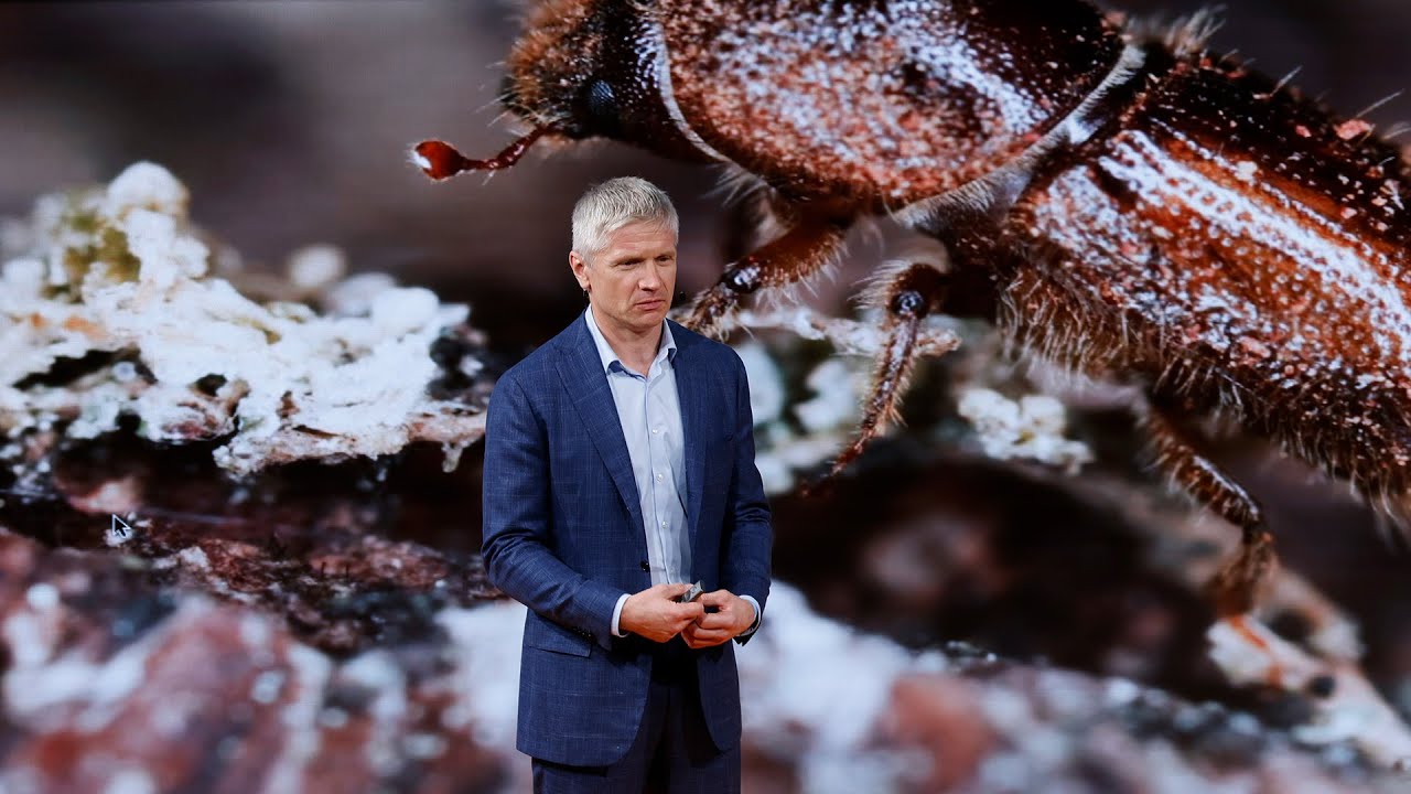 Nature: Does Finance Care? | DLD Nature