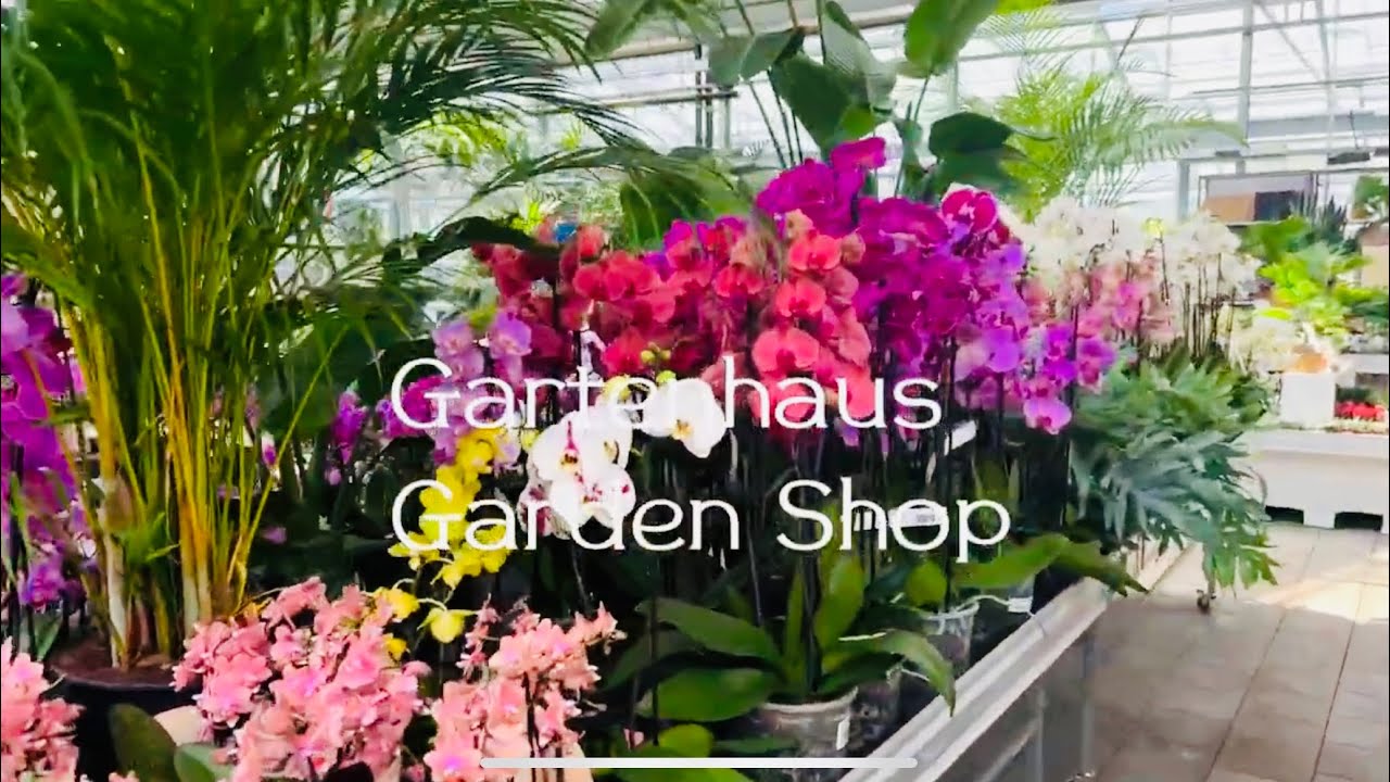 Switzerland🇨🇭Garden Shop / Plant Prices / Store of goods for summer cottage and garden