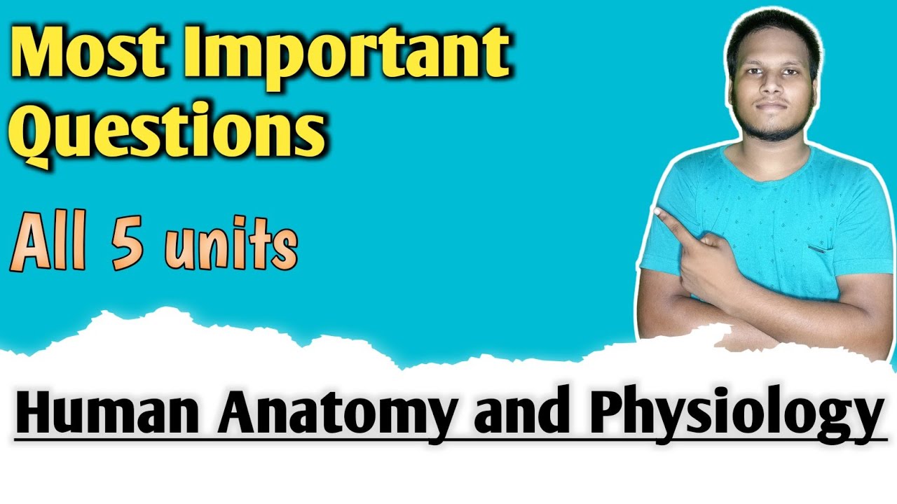 Human Anatomy and Physiology 1st semester important questions |B pharma ...