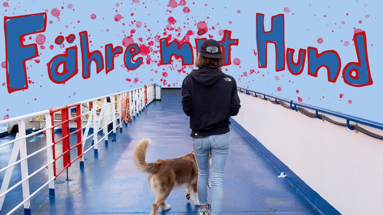 Mit Hund und Camper auf der Fähre nach Sardinien // Urlaub mit Hund // hu.....