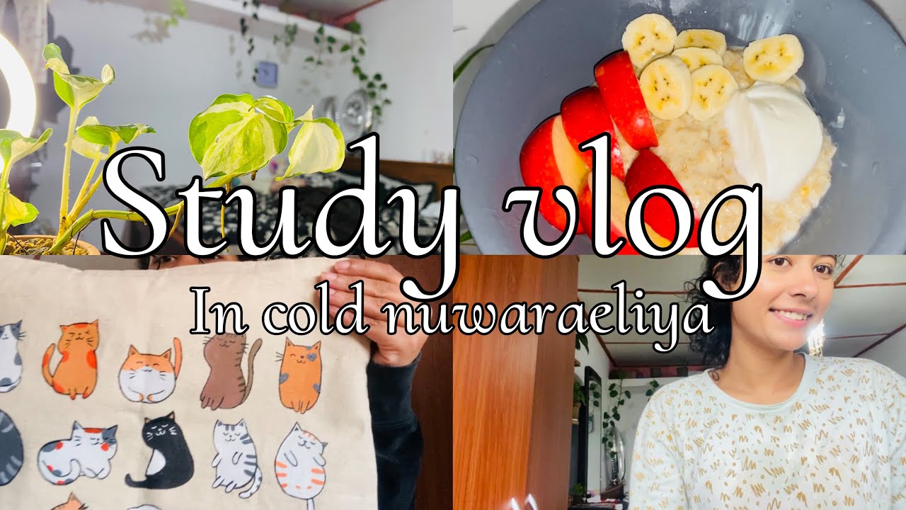 Productive 10 hours study vlog| නුවරඑලියෙ ජිවිතෙන් දවසක්|exam study vlog📑📚🍄#studyvlog